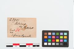 Etiketten zu Glasaugenperle (NHMW-PRAE-023901)